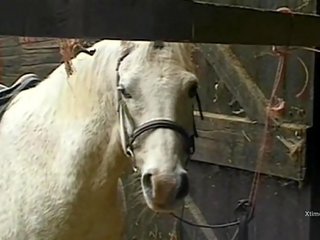 Dirty wild xxx clip in a barn for naughty farm girls